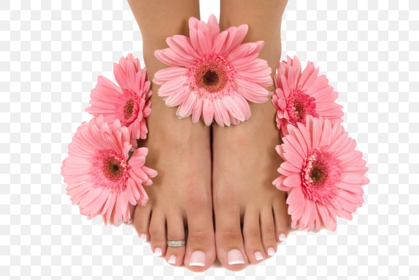Pedicure Day Spa Manicure Nail Salon, PNG, 1024x685px, Pedicure, Artificial Nails, Beauty Parlour, Cut Flowers, Day Spa Download Free