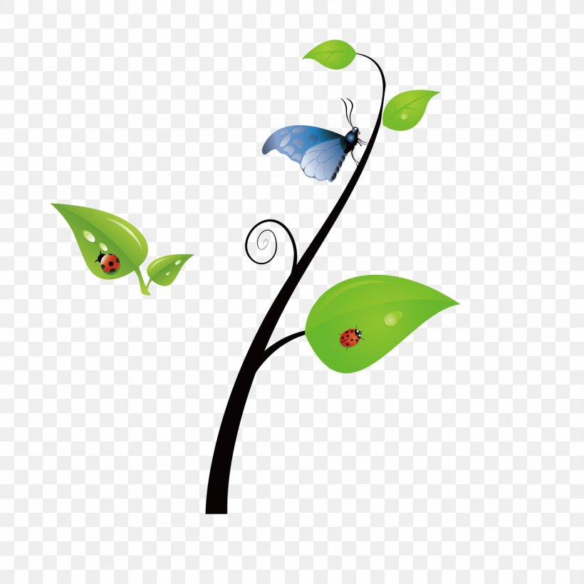 Vector Spring Green Leaves Butterfly Seven Star Ladybugs, PNG, 1500x1500px, Butterfly, Clip Art, Coccinella Septempunctata, Computer Graphics, Grass Download Free