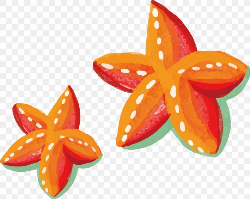 Watercolor Painting Starfish, PNG, 4343x3473px, Watercolor Painting, Fruit, Google Images, Orange, Petal Download Free