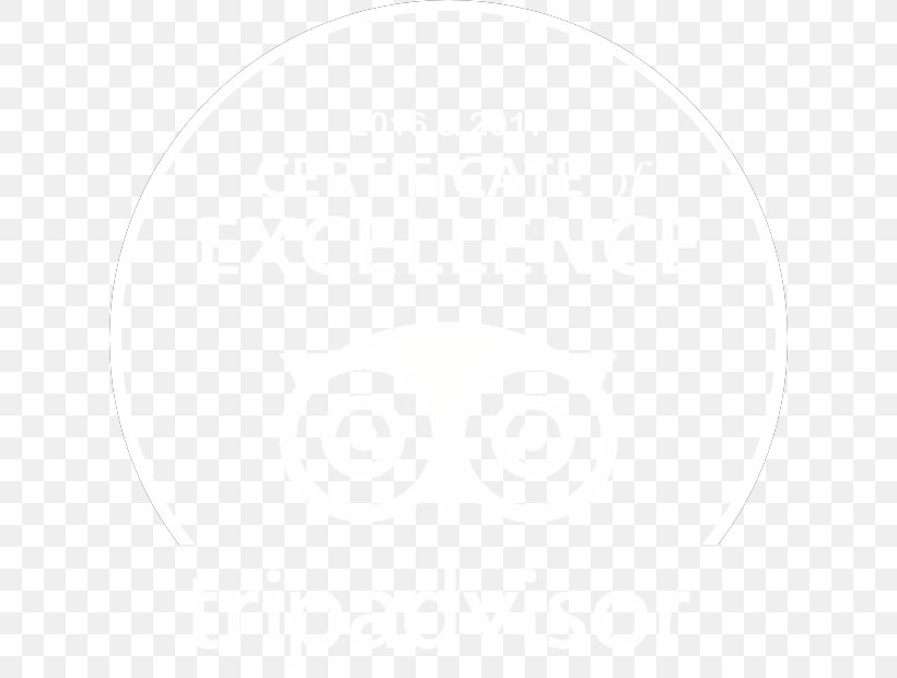 White, PNG, 620x620px, White, Black And White, Oval Download Free