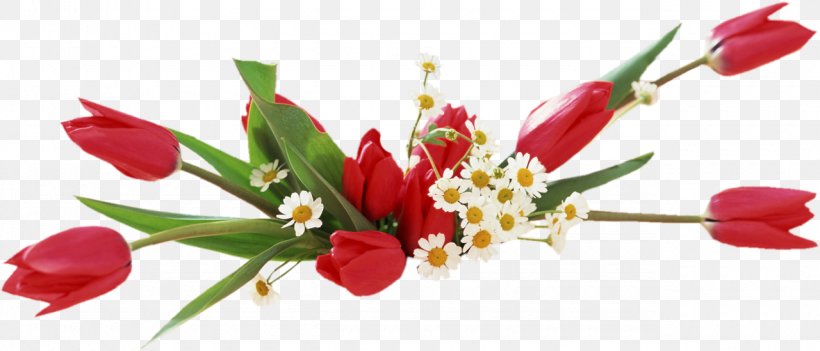 Desktop Wallpaper Tulip Vase Flower, PNG, 1280x549px, Tulip, Bud, Common Daisy, Cut Flowers, Floral Design Download Free