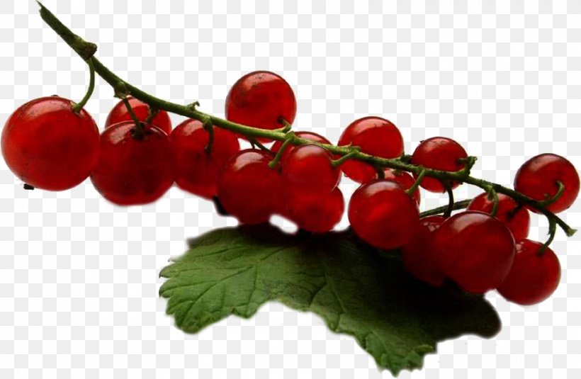 Redcurrant Fruit Jam Auglis Varenye, PNG, 915x597px, Redcurrant, Apple, Auglis, Berry, Branch Download Free
