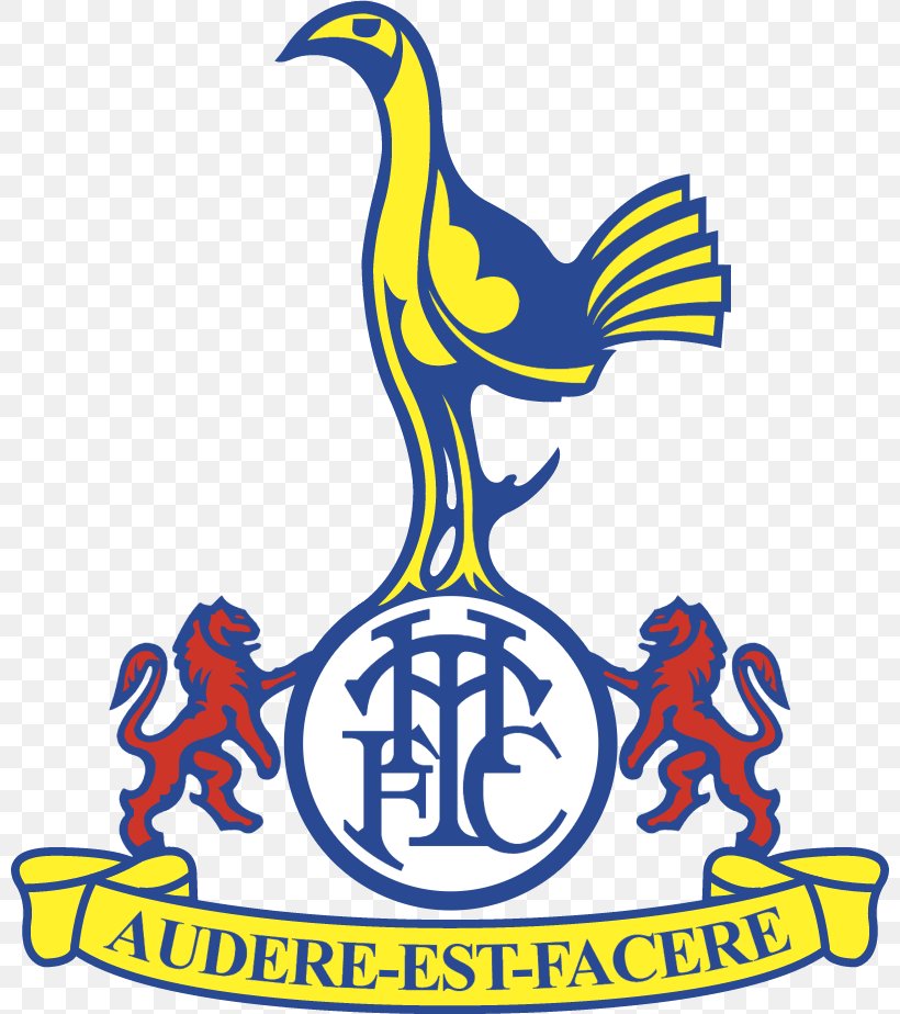 Tottenham Hotspur F.C. Premier League FA Cup Sport Logo, PNG, 800x924px, Tottenham Hotspur Fc, Area, Artwork, Beak, Crest Download Free