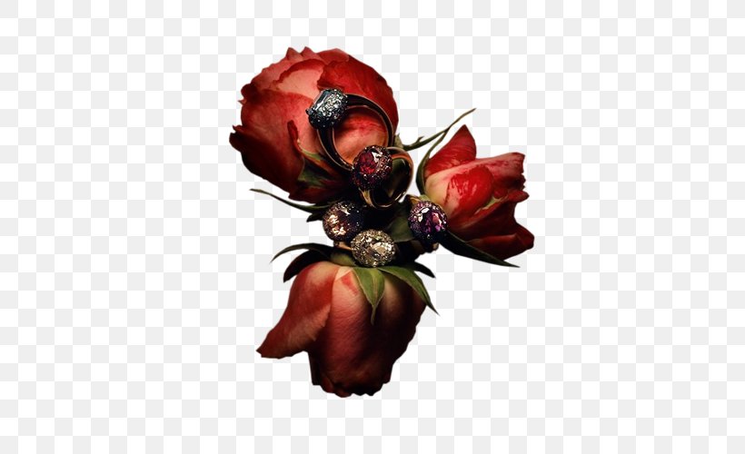 Garden Roses Pomellato Jewellery Earring Luxury Goods, PNG, 435x500px, Garden Roses, Cut Flowers, Earring, Flower, Flowering Plant Download Free