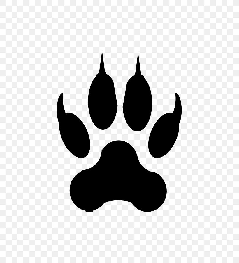 Lion Tiger Cougar Footprint Paw, PNG, 695x900px, Lion, Big Cat, Black, Black And White, Cat Download Free