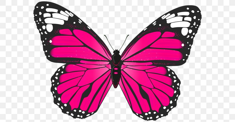 Butterfly Clip Art, PNG, 600x428px, Butterfly, Arthropod, Blue, Brush Footed Butterfly, Butterflies And Moths Download Free