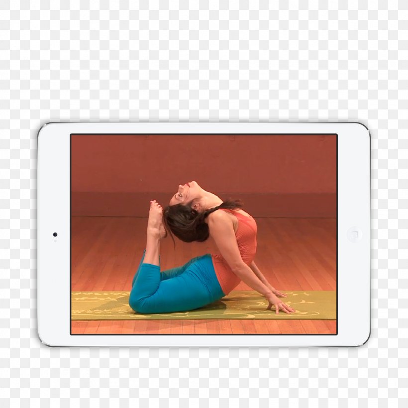 Stretching Contortion Flexibility Physical Fitness Shoulder, PNG, 1024x1024px, Stretching, Arm, Backbend, Circus, Contortion Download Free
