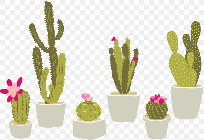 Cactaceae Houseplant Succulent Plant, PNG, 5416x3720px, Cactaceae, Cactus, Caryophyllales, Drawing, Flower Download Free