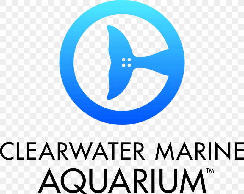 Clearwater Marine Aquarium Winter The Dolphin, PNG, 1717x1369px, Clearwater Marine Aquarium, Aquarium, Area, Blue, Brand Download Free