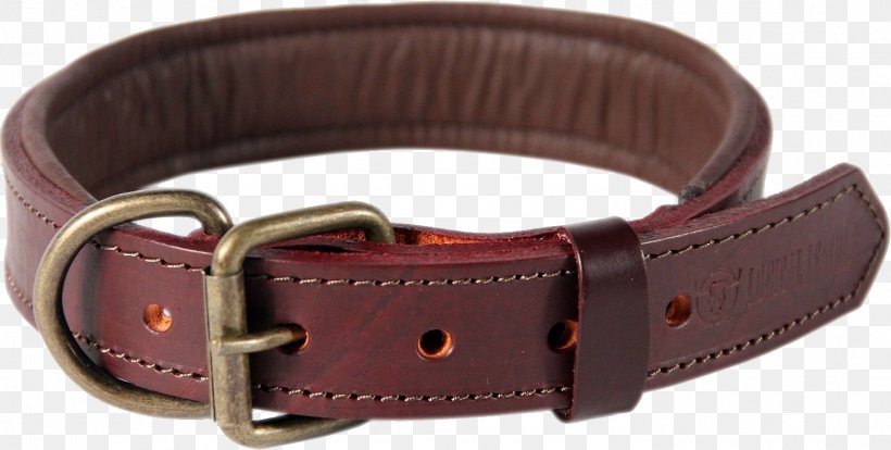 Dog Collar Leather Leash, PNG, 1497x756px, Dog, Belt, Bonded Leather, Brown, Collar Download Free