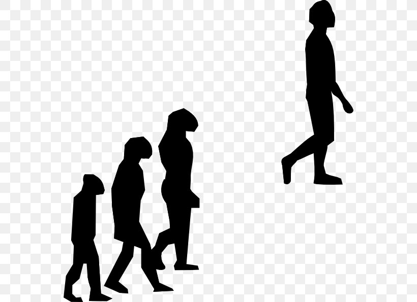 Human Evolution Clip Art Introduction To Evolution, PNG, 570x595px, Human Evolution, Ape, Charles Darwin, Conversation, Darwinism Download Free