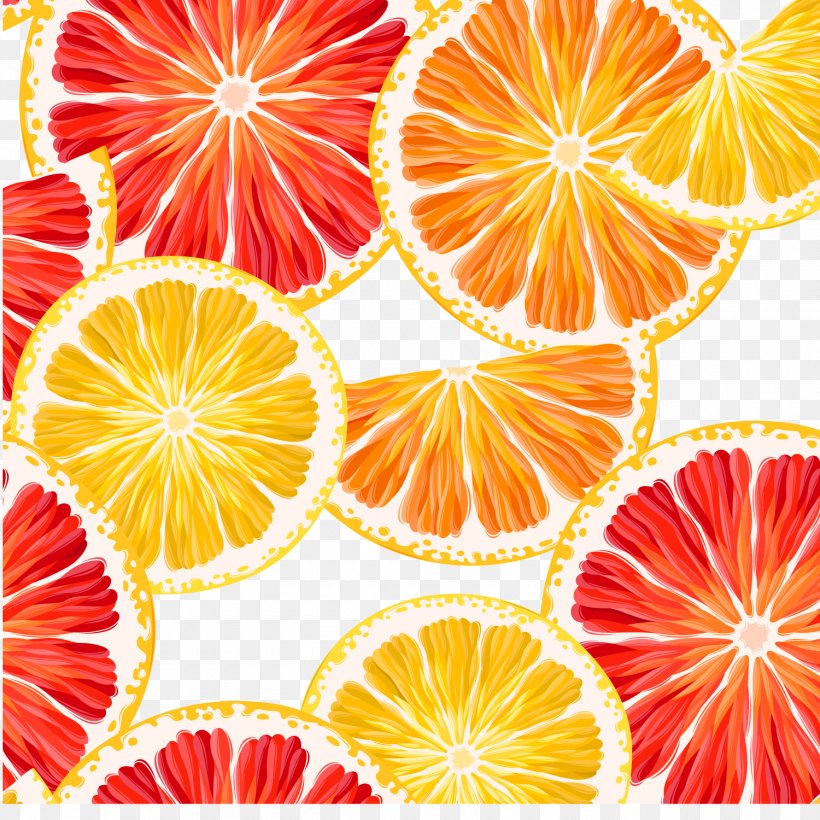 Lemon Grapefruit Orange, PNG, 1500x1500px, Lemon, Art, Citrus, Food, Fruit Download Free