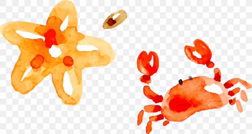 Crab Watercolor Painting, PNG, 1238x657px, Crab, Data, Orange, Organism, Starfish Download Free