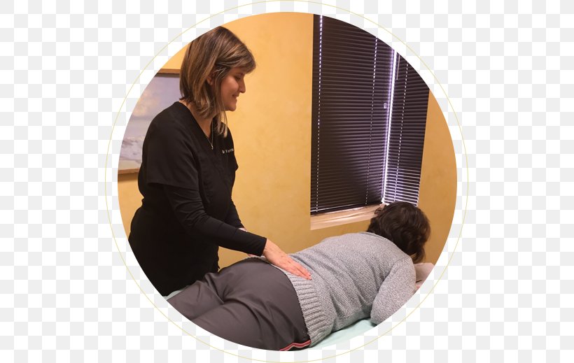 Dr. Diane Ferris Therapy Chiropractic Low Back Pain Pain In Spine, PNG, 519x519px, Therapy, Cancer, Chiropractic, Chiropractor, Furniture Download Free