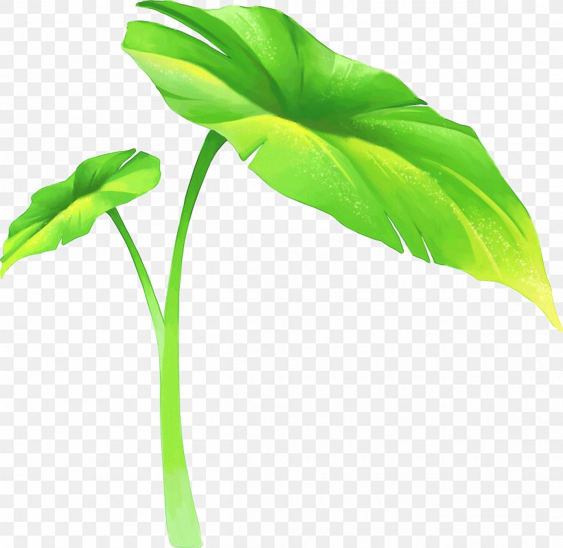Leaf Lotus Effect Desktop Wallpaper, PNG, 2511x2445px, Leaf, Display Resolution, Drawing, Flower, Green Download Free