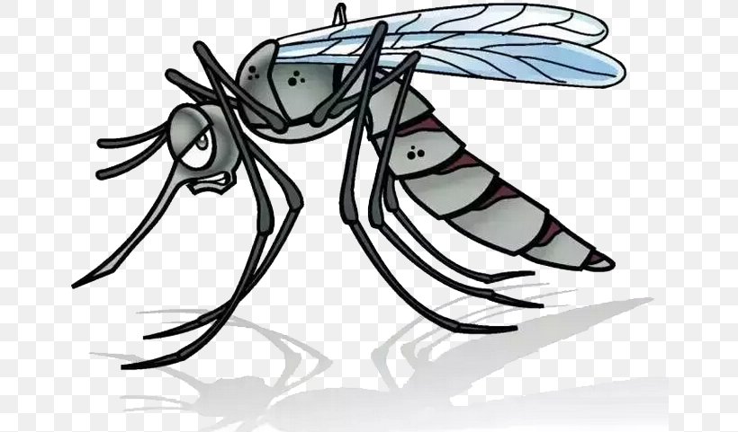 Mosquito Cartoon Illustration, PNG, 667x481px, Watercolor, Cartoon, Flower, Frame, Heart Download Free