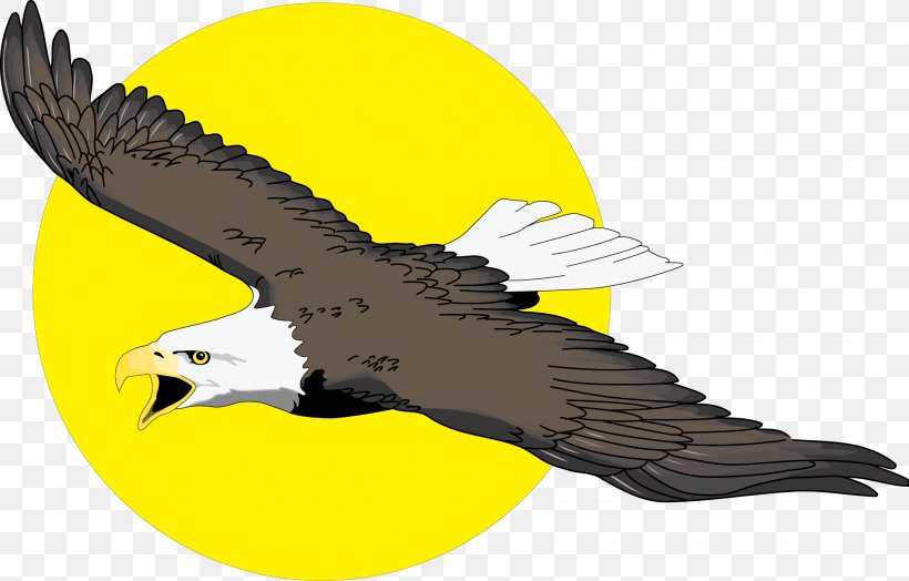 Bald Eagle Free Content Clip Art, PNG, 2150x1374px, Bald Eagle, Accipitriformes, Beak, Bird, Bird Of Prey Download Free