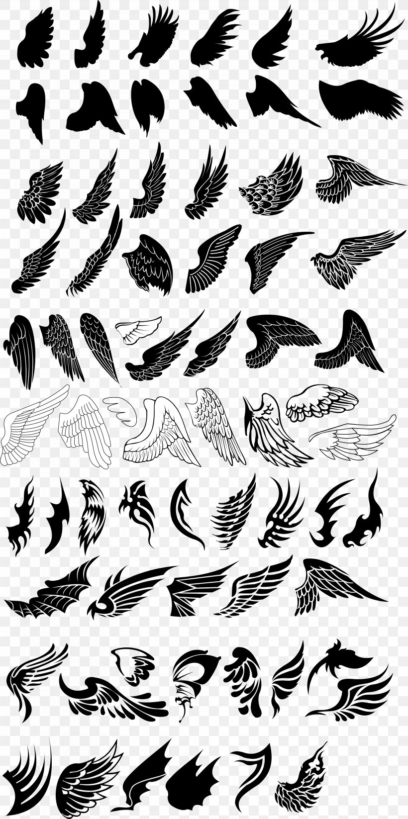 Bird Drawing Euclidean Vector, PNG, 3941x7918px, Bird, Angel Wing, Birdwing, Black And White, Branch Download Free