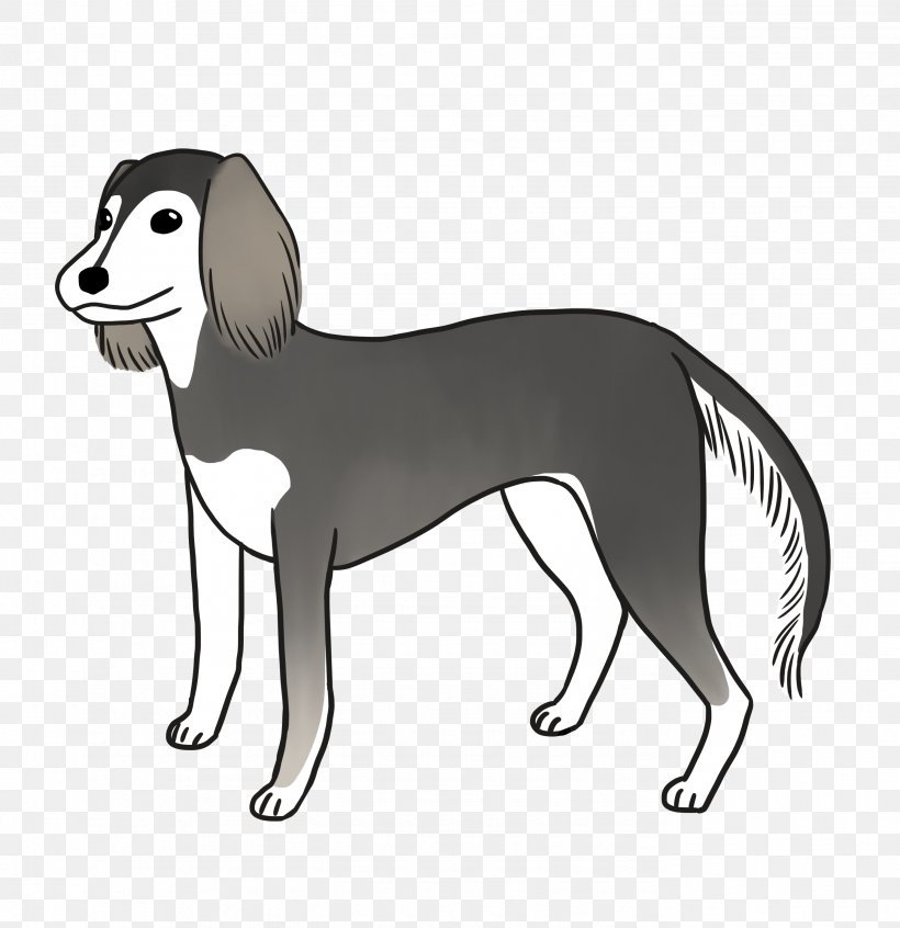 Dog Breed Saluki Italian Greyhound Companion Dog, PNG, 2756x2846px, Dog Breed, Black And White, Breed, Carnivoran, Companion Dog Download Free