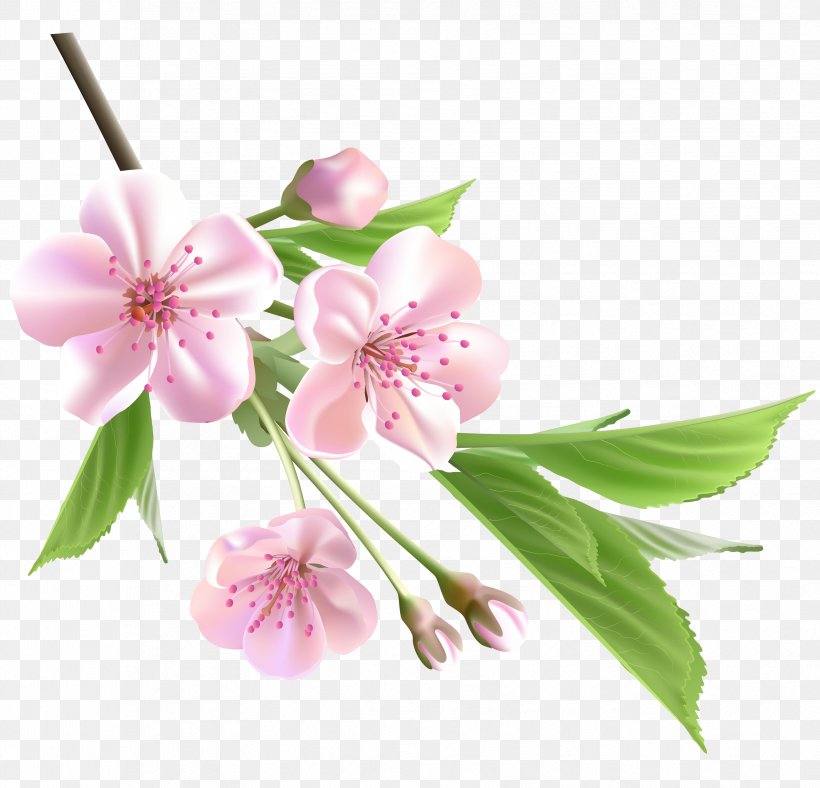 Flower Drawing Tree Clip Art, PNG, 3351x3224px, Flower, Blossom, Branch, Cherry Blossom, Cut Flowers Download Free