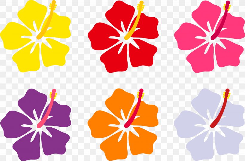 Hawaii Flower Drawing Clip Art, PNG, 8230x5425px, Hawaii, Art, Cartoon