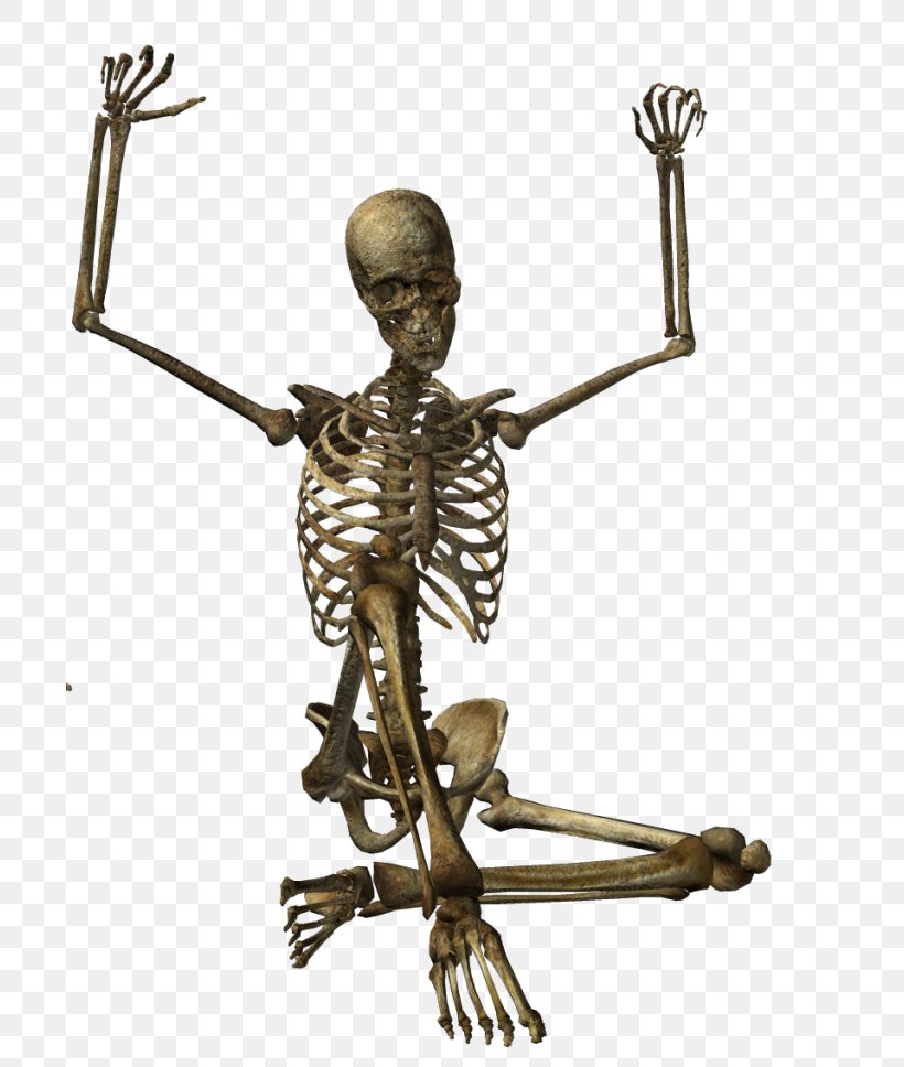 Human Skeleton Skull, PNG, 700x968px, Skeleton, Anatomy, Bone, Brass, Bronze Sculpture Download Free