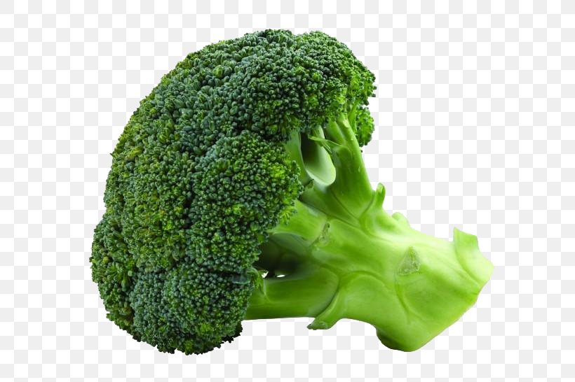 Broccoli Cauliflower Cabbage Vegetable Food, PNG, 820x546px, Broccoli, Brassica Oleracea, Broccoli Sprouts, Cabbage, Cabbage Family Download Free