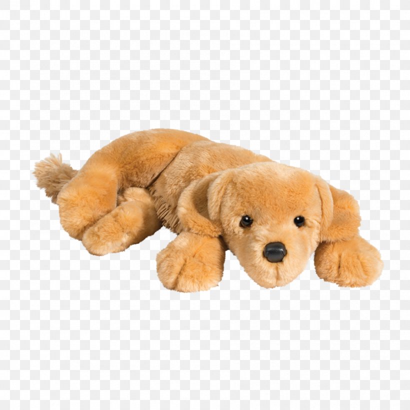 Golden Retriever Puppy Labrador Retriever Dog Breed, PNG, 894x894px, Golden Retriever, Carnivoran, Companion Dog, Dog, Dog Breed Download Free