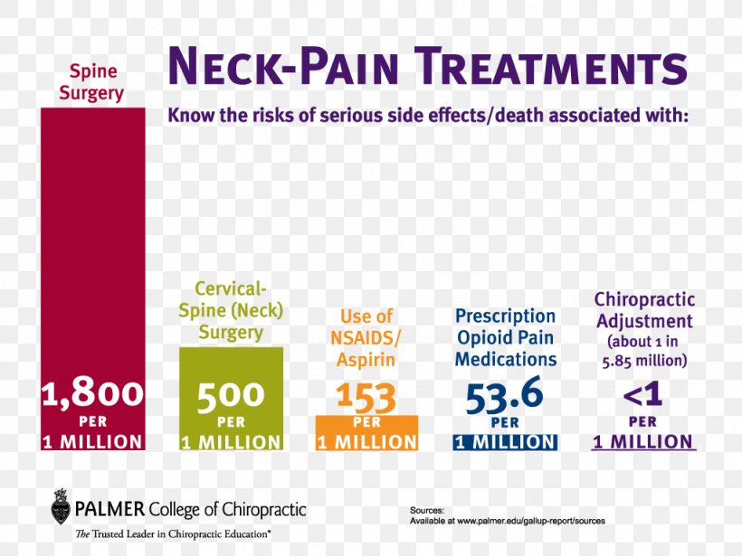 Neck Pain Chiropractic Health Care Michigan Association Of Chiropractors, PNG, 1024x768px, Neck Pain, Ache, American Chiropractic Association, Area, Brand Download Free