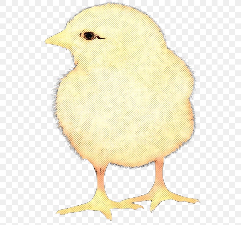 Bird Yellow Beak Chicken Atlantic Canary, PNG, 552x767px, Pop Art, Atlantic Canary, Beak, Bird, Chicken Download Free