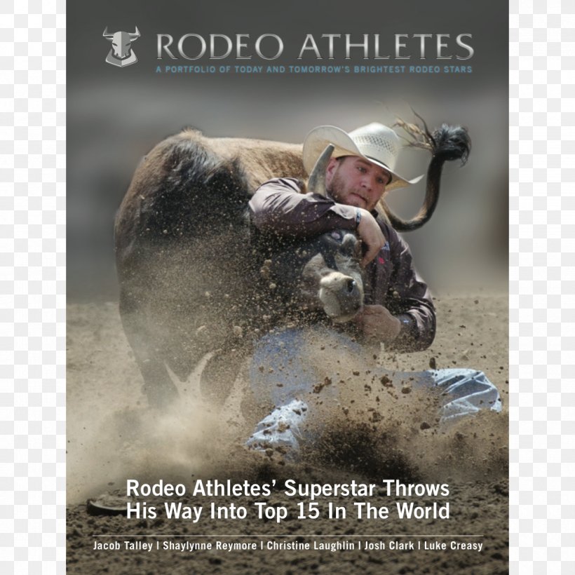 Horse Magazine Rodeo Photo Caption Subscription Business Model, PNG, 1210x1210px, Horse, Athlete, Autograph, Cattle, Cattle Like Mammal Download Free