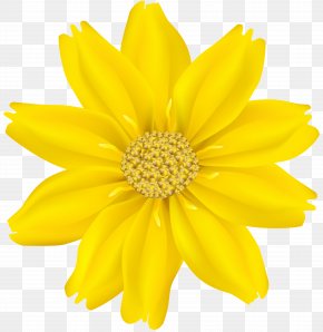 Flower Clip Art Yopriceville - Circular Saw Flower Tool PNG
