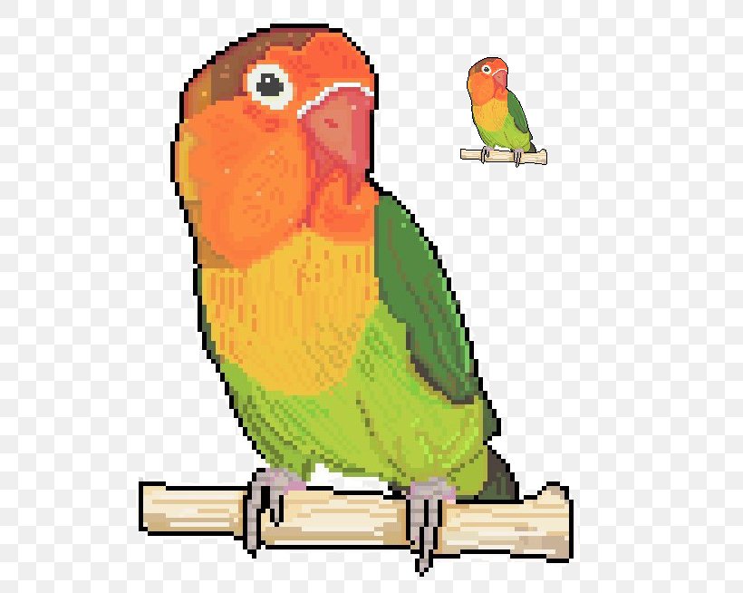 Budgerigar Lovebird Parrot Loriini Parakeet, PNG, 559x654px, Budgerigar, Art, Beak, Bird, Bird Supply Download Free