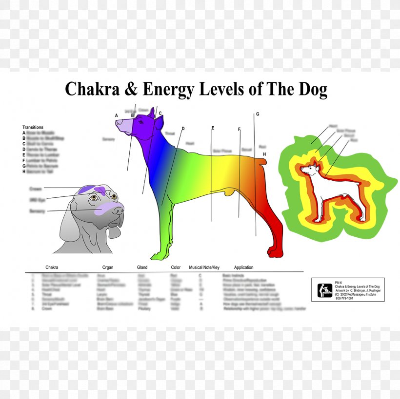 Dog Chakra Horse Pet Reiki, PNG, 1224x1224px, Dog, Area, Art, Aura, Brand Download Free