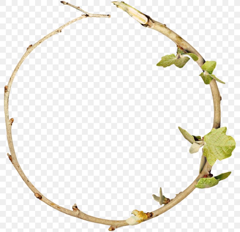 Leaf Branch, PNG, 800x792px, Leaf, Branch, Calameae, Headband, Jewellery Download Free