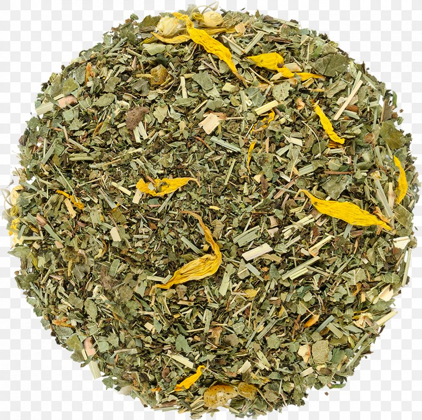 Nilgiri Tea Hōjicha Mixture Tea Plant, PNG, 1200x1197px, Nilgiri Tea, Assam Tea, Bancha, Ceylon Tea, Chun Mee Tea Download Free