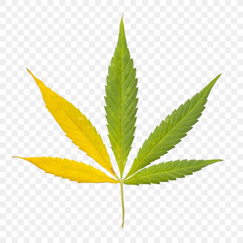 Cannabis Sativa Leaf Bong Clip Art, PNG, 1024x1024px, Cannabis, Bong, Bud, Cannabis Sativa, Cannabis Smoking Download Free