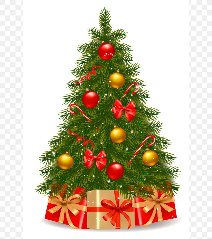 Christmas Tree Lights, PNG, 640x926px, Christmas Tree, American Larch, Branch, Cdr, Christmas Download Free