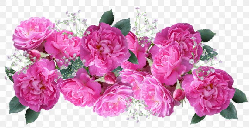 Garden Roses Flower Bouquet Wedding Floral Design, PNG, 1024x528px, Garden Roses, Anniversary, Artificial Flower, Birthday, Centifolia Roses Download Free