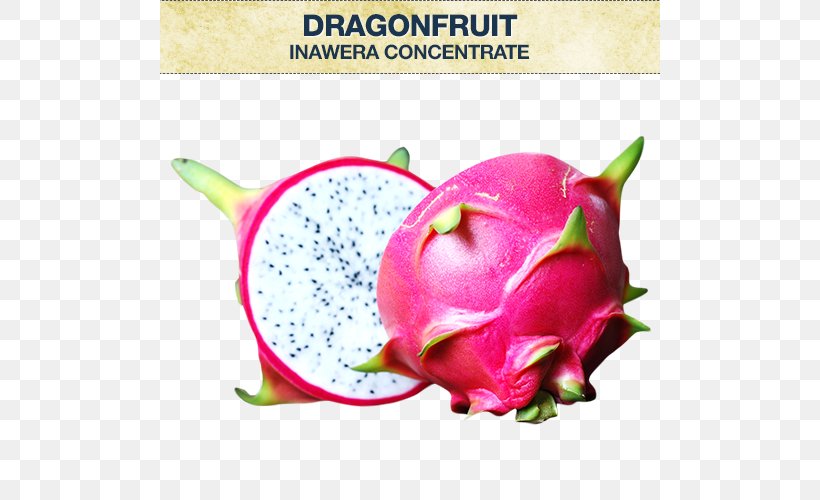 Juice Pitaya Fruit Flavor, PNG, 500x500px, Juice, Cactus, Concentrate, Costa Rican Pitahaya, Cuisine Download Free