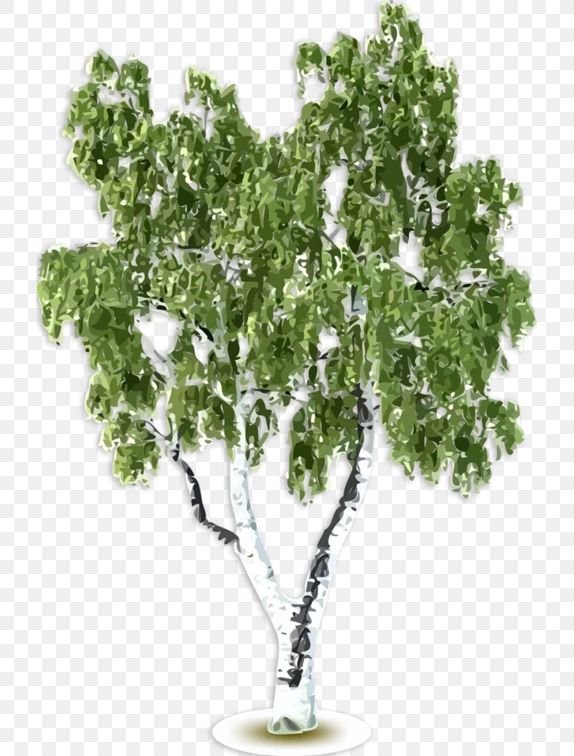 Image Clip Art Download, PNG, 715x1080px, 2018, Tree, Art, Birch, Branch Download Free