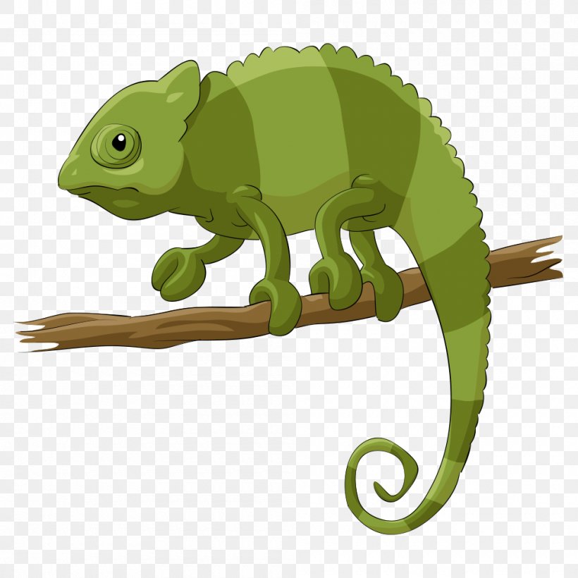 Chameleons Lizard Reptile Cartoon, PNG, 1000x1000px, Chameleons, Art, Chameleon, Drawing, Fauna Download Free