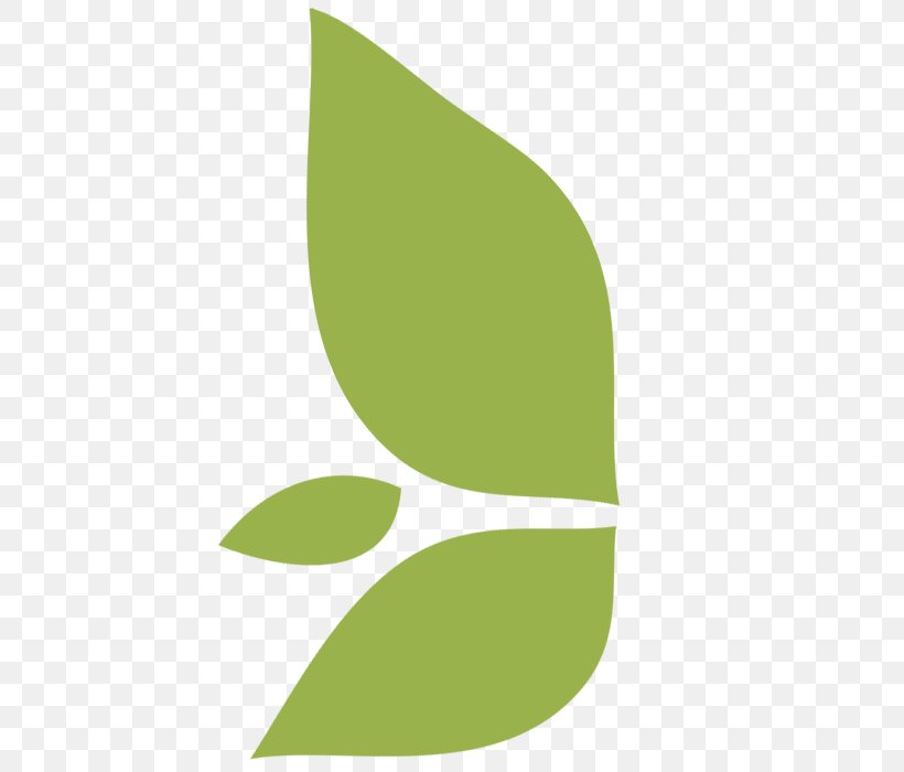 Logo Leaf Font, PNG, 700x700px, Logo, Grass, Green, Leaf, Plant Download Free