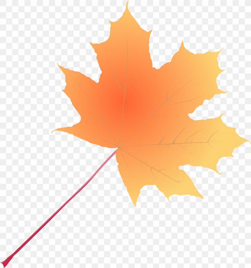 Maple Leaf Desktop Wallpaper Clip Art, PNG, 2248x2400px, Maple Leaf, Apple, Computer, Flowering Plant, Leaf Download Free