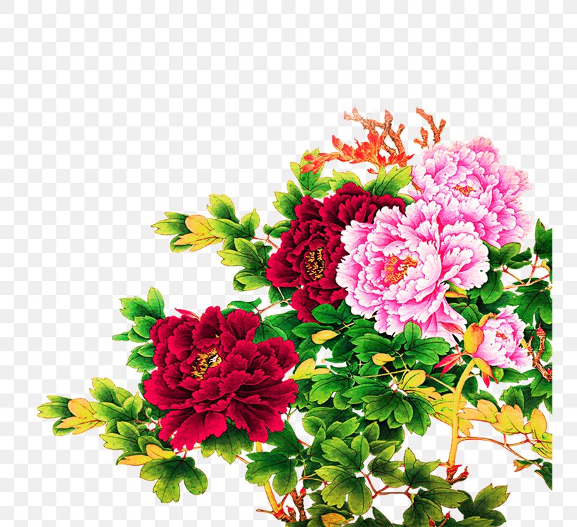 Moutan Peony Illustration, PNG, 750x750px, Moutan Peony, Annual Plant, Art, Artificial Flower, Carnation Download Free