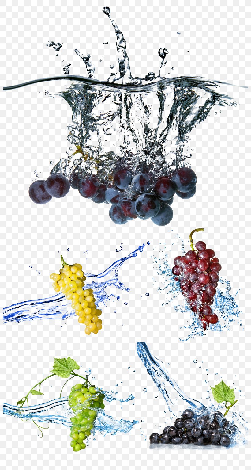 Grapefruit Stock Photography Water, PNG, 800x1533px, Grape, Art, Blue, Branch, Depositphotos Download Free