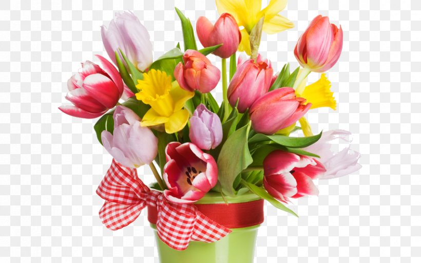 Stock Photography Image Tulip Royalty-free Flower, PNG, 853x533px, Stock Photography, Cut Flowers, Daffodil, Floral Design, Floristry Download Free