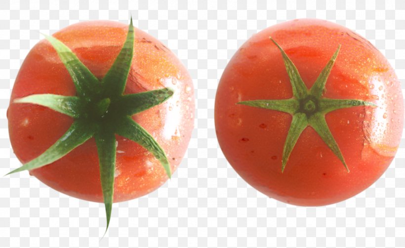 Tomato Cartoon, PNG, 1024x627px, Food, Cherry Tomato, Fruit, Nightshade Family, Orange Download Free