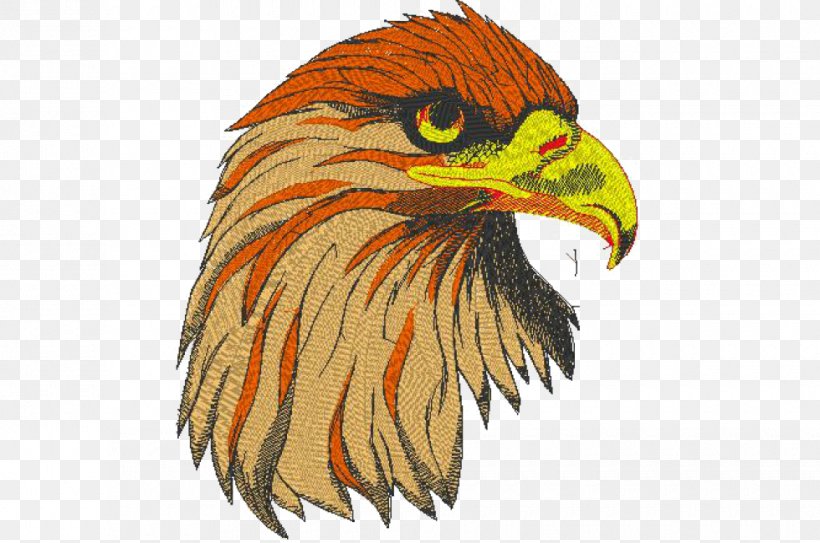 Bald Eagle Beak Fauna Feather, PNG, 980x650px, Bald Eagle, Accipitriformes, Beak, Bird, Bird Of Prey Download Free