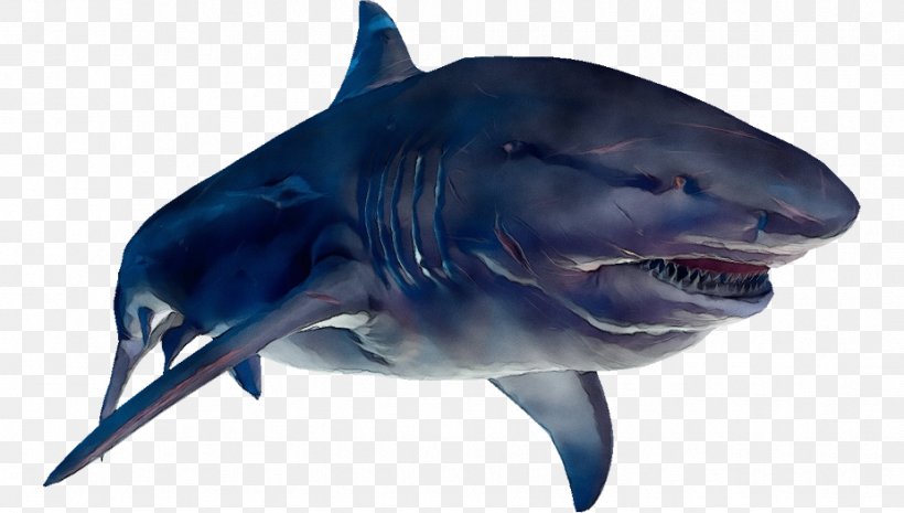 Great White Shark Background, PNG, 926x526px, Watercolor, Animal Figure, Bull Shark, Carcharhiniformes, Cartilaginous Fish Download Free